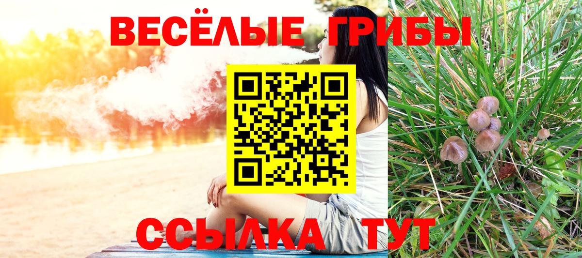 Псилоцибиновые грибы мицелий Муром