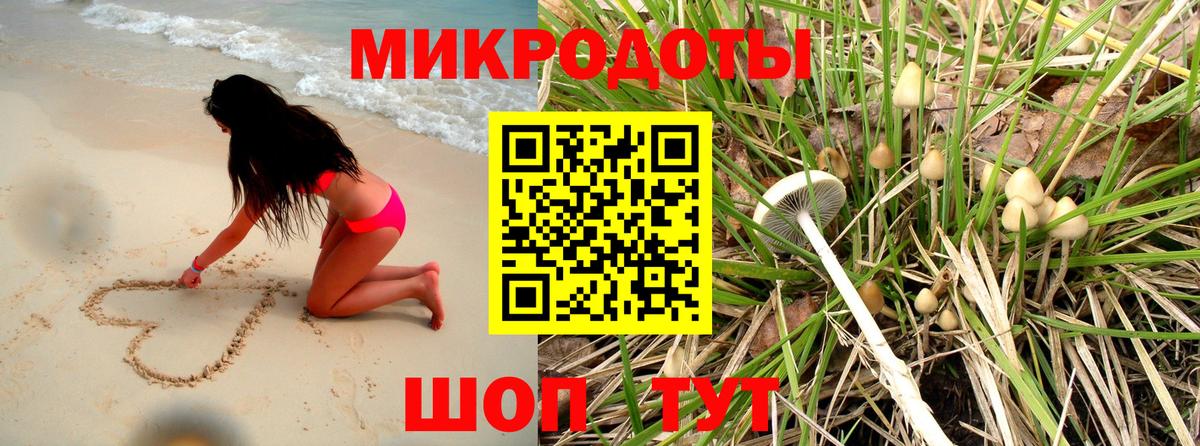 Псилоцибиновые грибы Psilocybe  Вход с VPN  Галлюциногенные грибы мицелий  Муром 
